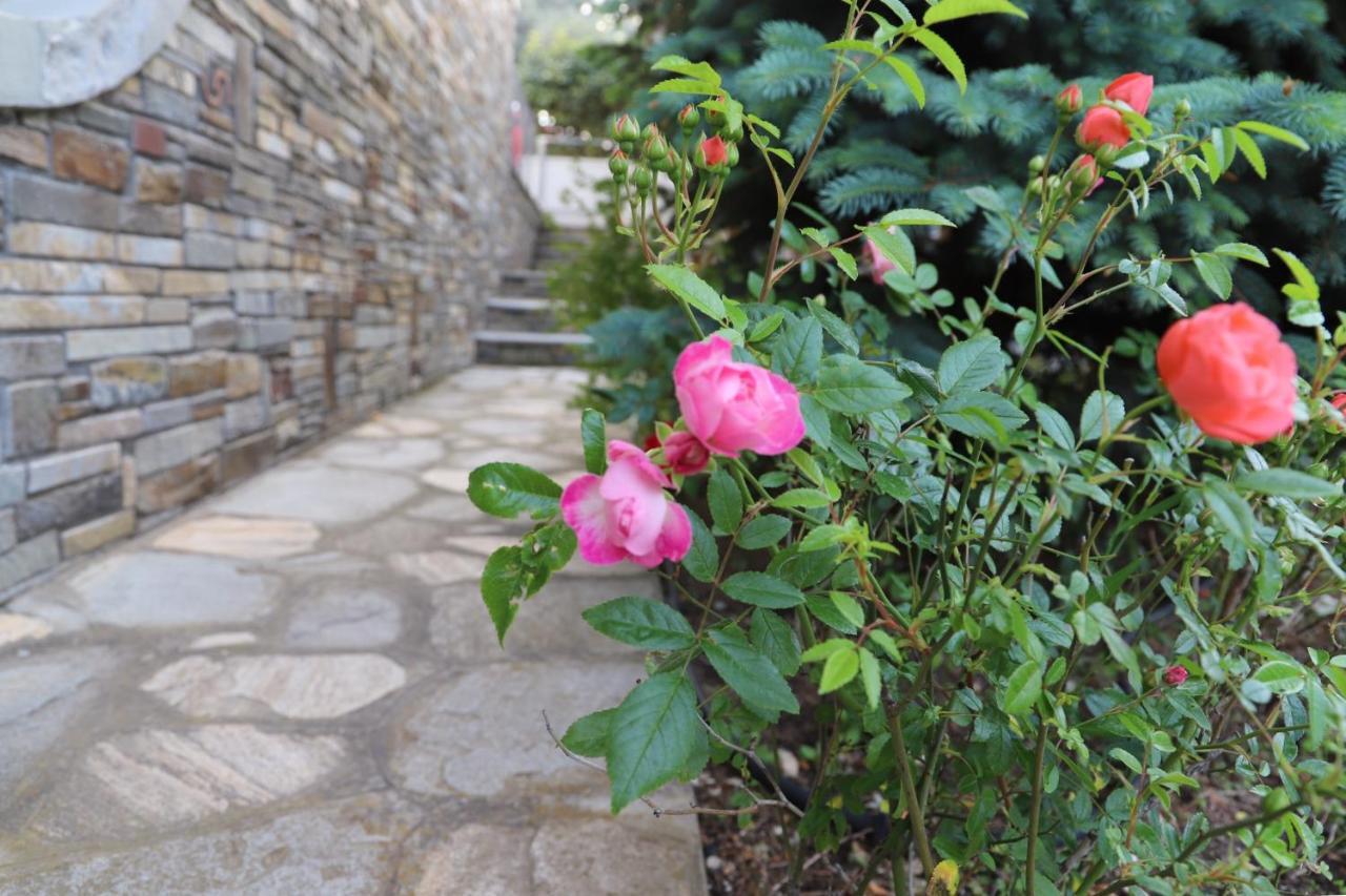 Belle Maison Villa Kavala Eksteriør billede