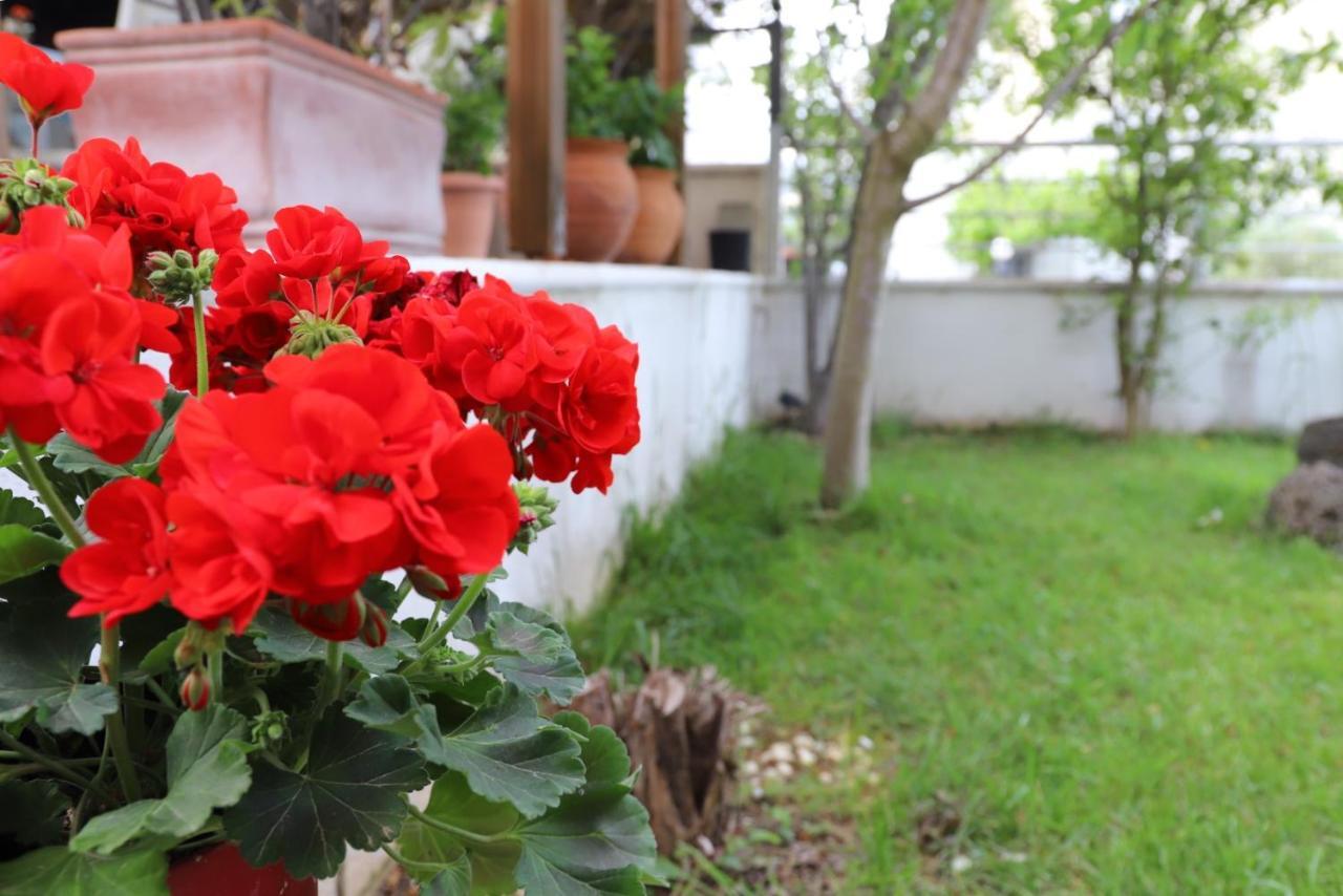 Belle Maison Villa Kavala Eksteriør billede